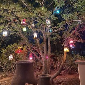 Meet your Posher, Shaynee